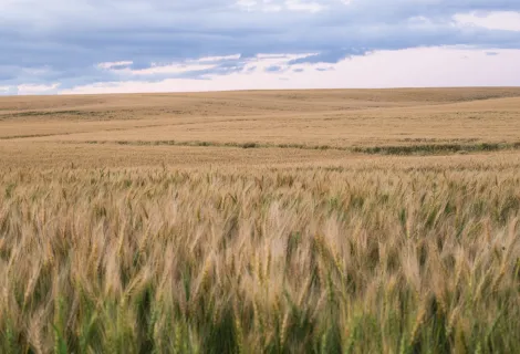 PERTE Agroalimentario