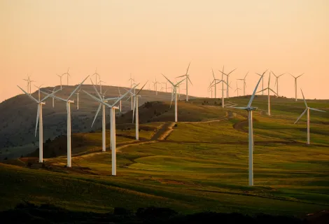 PERTE Energías renovables