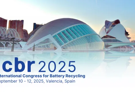 https://events.icm.ch/event/ICBR2025/icbr-2025