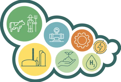 Bioenergia