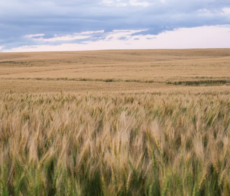 PERTE Agroalimentario