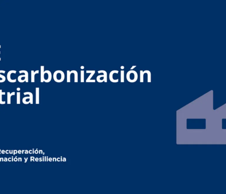PERTE DESCARBONIZACIÓN INDUSTRIAL
